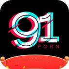 内容全面的91看片平台